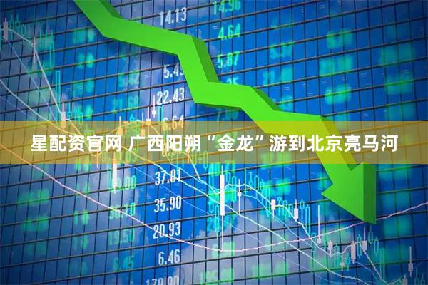 星配资官网 广西阳朔“金龙”游到北京亮马河