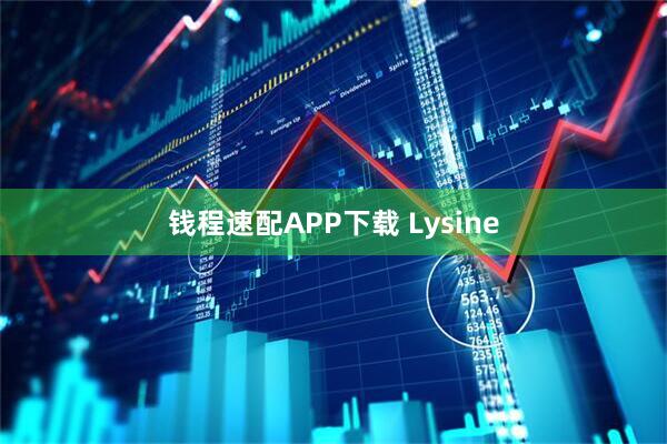钱程速配APP下载 Lysine