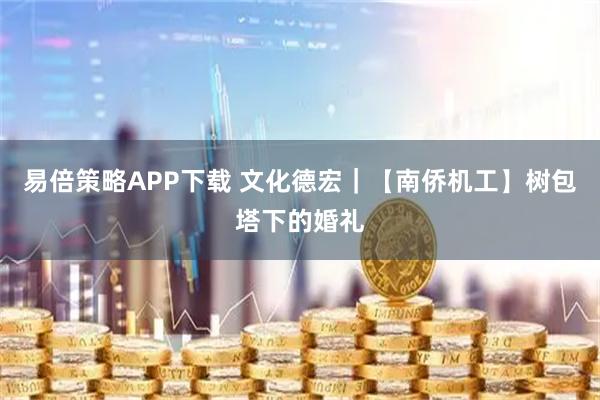 易倍策略APP下载 文化德宏｜【南侨机工】树包塔下的婚礼